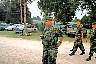 2002swift_03.jpg