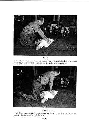 255A.gif