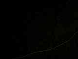 100_6837.avi